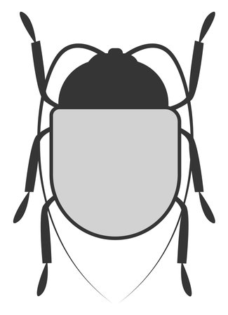 Grey cockroach, illustration, vector on white background.のイラスト素材