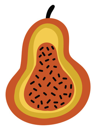 Orange pumpkin in half, illustration, vector on white background.のイラスト素材