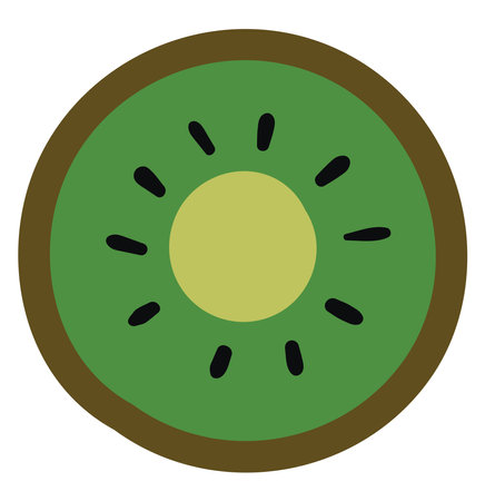 Green kiwi the fruit in half, illustration, vector on white background.のイラスト素材
