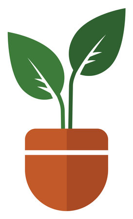 Ficus plant in a pot, illustration, vector on white background.のイラスト素材