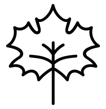 Canadian leaf, illustration, vector on white background.のイラスト素材