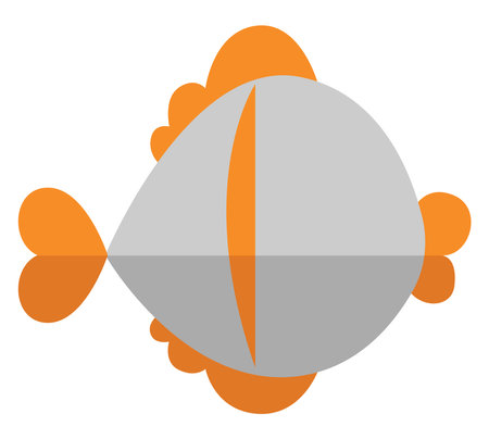 Fat white fish, illustration, vector on white background.のイラスト素材