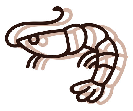 Sea shrimp, illustration, vector on white background.のイラスト素材