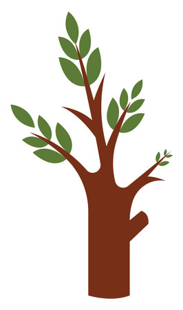 Spring tree, illustration, vector on white background.のイラスト素材