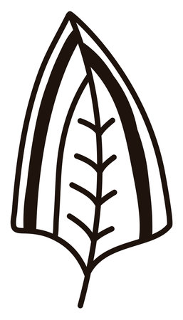 Birds feather, illustration, vector on a white backgroundのイラスト素材