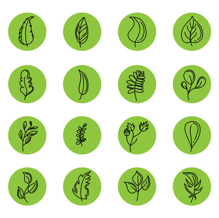 Green decorative leaves, illustration, vector on a white backgroundのイラスト素材