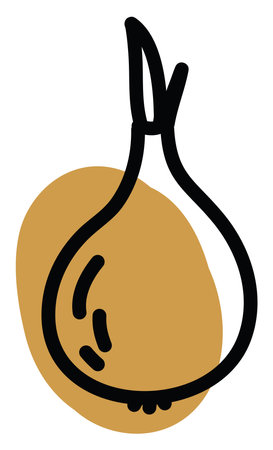 Golden onion, illustration, vector on a white backgroundのイラスト素材