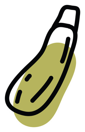 Green zucchini, illustration, vector on a white backgroundのイラスト素材