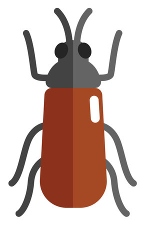 Soldier beetle bug, icon illustration, vector on white background