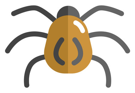Brown spider, icon illustration, vector on white backgroundのイラスト素材