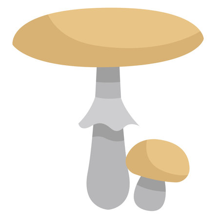 White death cap mushroom, icon illustration, vector on white backgroundのイラスト素材