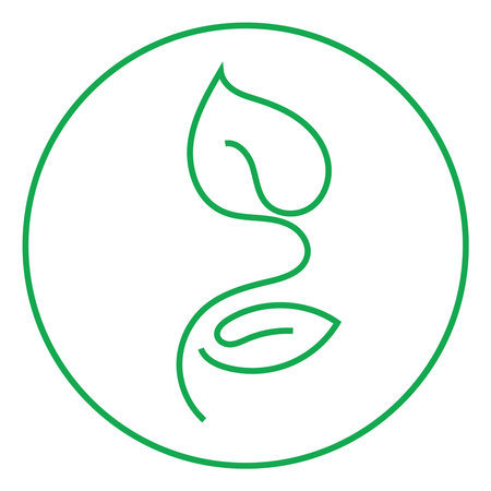 Two young leafs on a stem, icon illustration, vector on white backgroundのイラスト素材