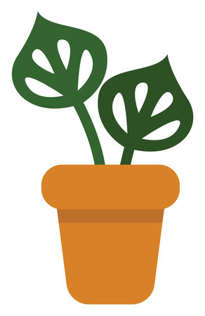 Monstera plant in a pot, icon illustration, vector on white backgroundのイラスト素材