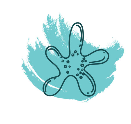 Simple blue starfish, icon illustration, vector on white backgroundのイラスト素材