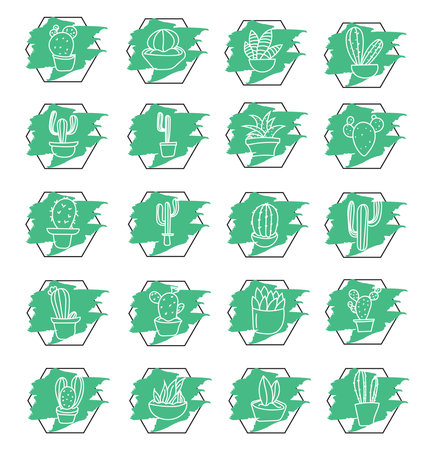 Various types of cactuses in a pot, icon illustration, vector on white backgroundのイラスト素材
