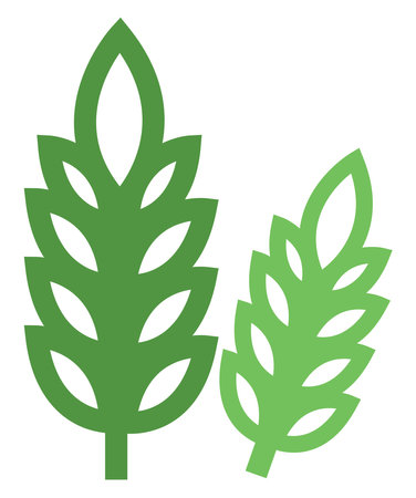 Wheat plant, icon illustration, vector on white backgroundのイラスト素材