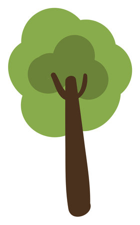 Swamp spanish oak tree, icon illustration, vector on white backgroundの写真素材