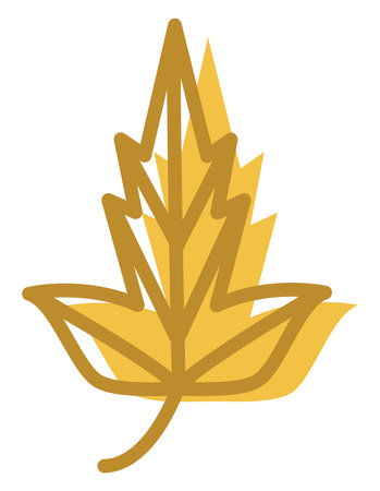 White oak tree, illustration, on a white background.のイラスト素材