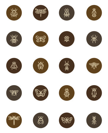 Insect icon set, illustration, on a white background.のイラスト素材