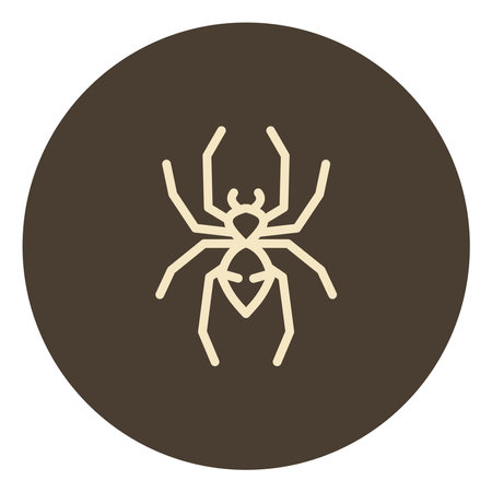 Tiny spider, illustration, on a white background.のイラスト素材