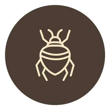 Small bug insect, illustration, on a white background.のイラスト素材