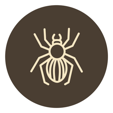 Garden spider, illustration, on a white background.のイラスト素材