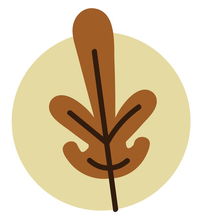 Orange autumn leafs, illustration, on a white background.のイラスト素材