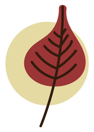 Dark orange leaf, illustration, on a white background.のイラスト素材