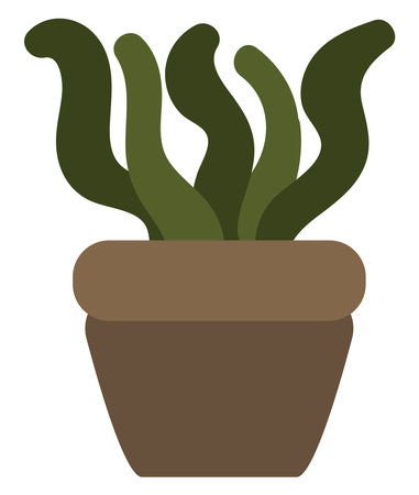Spiral aloe in pot, illustration, on a white background.のイラスト素材