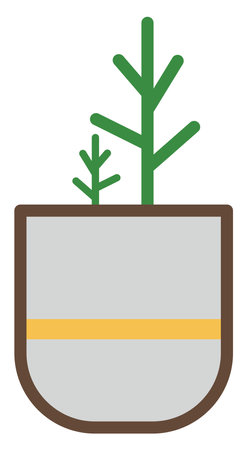 Jade plant in pot, illustration, on a white background.のイラスト素材