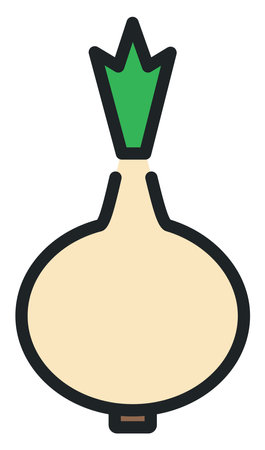 Fresh White onion, illustration, on a white background.のイラスト素材