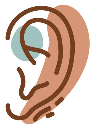 Human ear, illustration, vector, on a white background.のイラスト素材