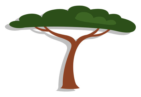 African tree, illustration, vector, on a white background.のイラスト素材