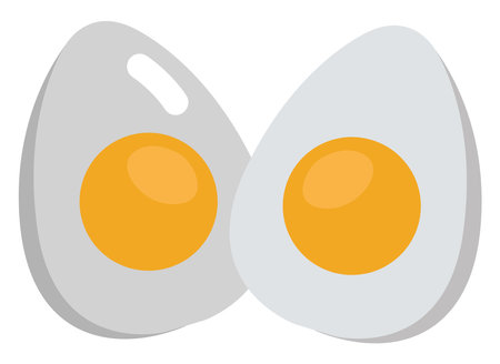 Boiled egg in half, illustration, vector, on a white background.のイラスト素材