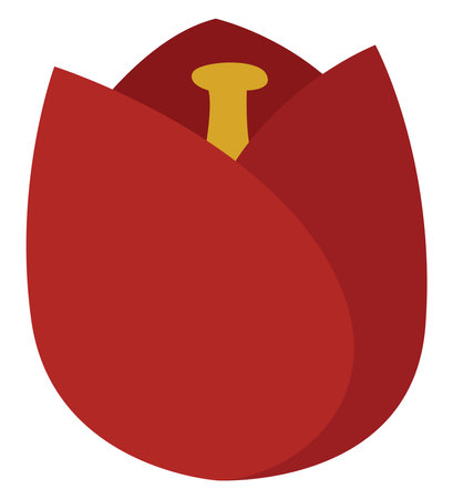 Red poppy flower, illustration, vector, on a white background.のイラスト素材