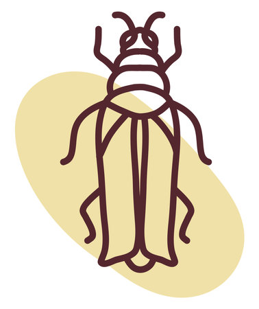 Small cricket, illustration, vector, on a white background.のイラスト素材