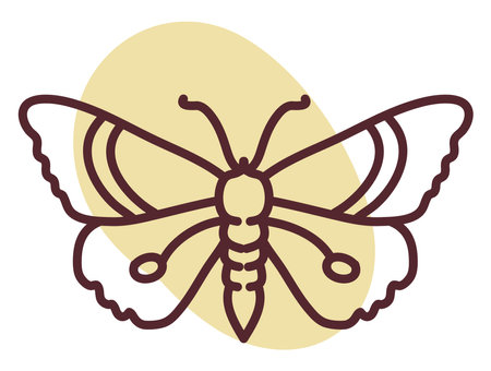 Beautiful buttefly, illustration, vector, on a white background.のイラスト素材