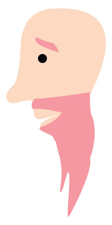 Bald man with pink beard, illustration, vector, on a white background.のイラスト素材