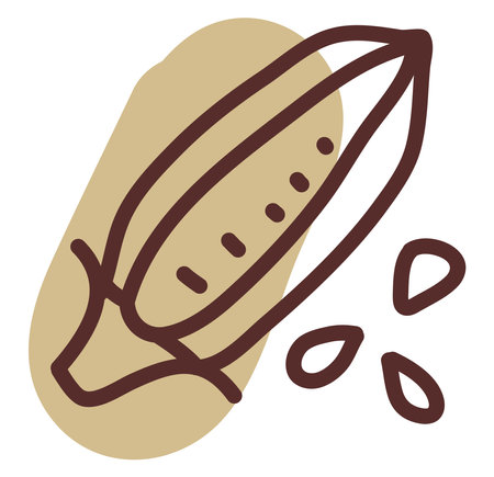 Pop corn, illustration, vector, on a white background.のイラスト素材