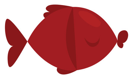 Red fish pet, illustration, vector, on a white background.のイラスト素材