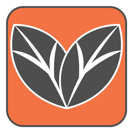 Tobaco leaf, illustration, vector, on a white background.のイラスト素材