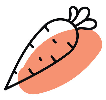 Healthy carrot, illustration, vector, on a white background.のイラスト素材
