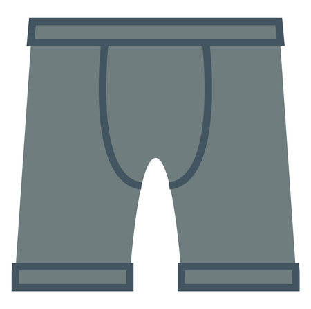 Mens briefs, illustration, vector, on a white background.のイラスト素材