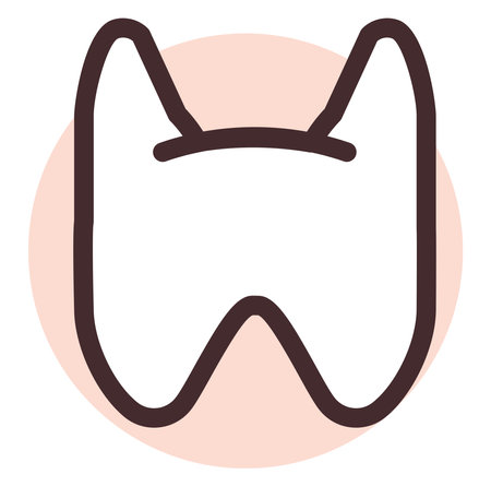 Human thyroid, illustration, vector, on a white background.のイラスト素材