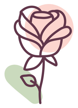 Beautiful rose, illustration, vector, on a white background.のイラスト素材