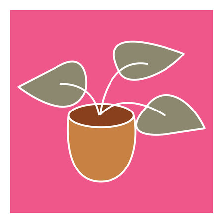 Plant with big leaves in a pot, illustration, vector, on a white background.のイラスト素材