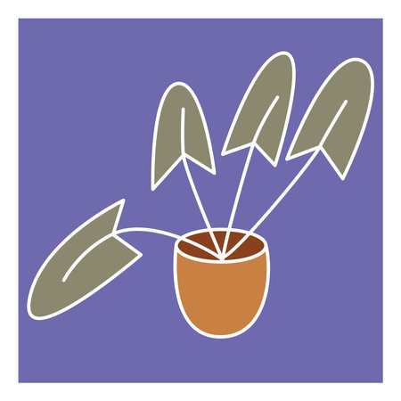 Home plant in a pot, illustration, vector, on a white background.のイラスト素材