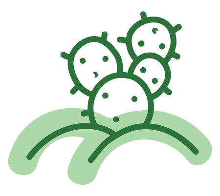 Cactus with bunny ears, illustration, vector on a white background.のイラスト素材