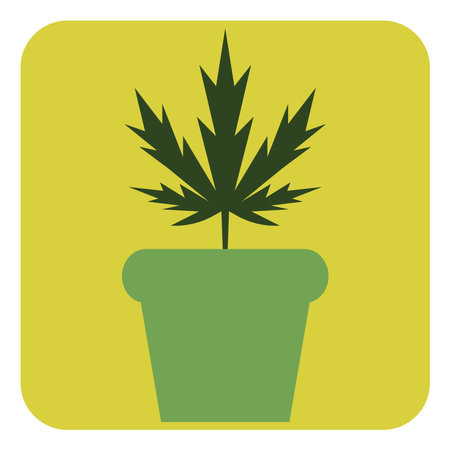 Cannabis plant in pot, illustration, vector on a white background.のイラスト素材