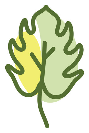 Spring leaf, illustration, vector on a white background.のイラスト素材